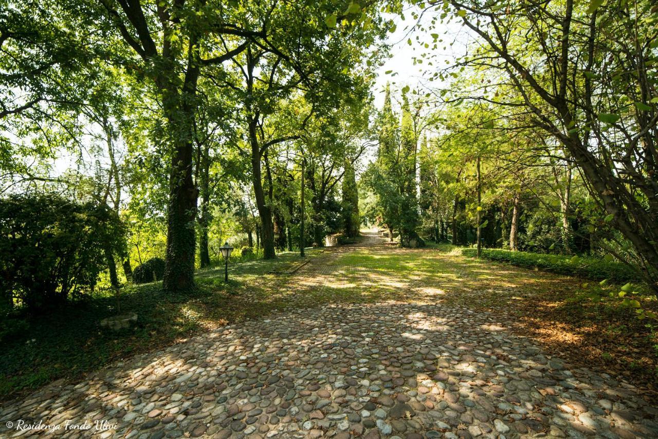 Residenza Fondo Ulivi Βίλα Ponti sul Mincio Εξωτερικό φωτογραφία